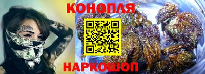 тгк Гай