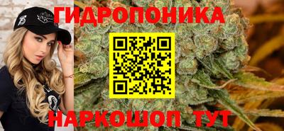 тгк Гай